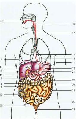киллера киллера