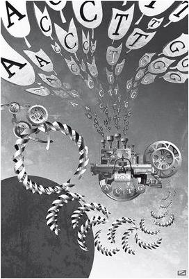 энтеровирус