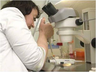 митохондриальное пожертвование