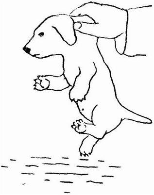 зрительный контакт