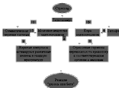 Исследователи выяснили, что жизненные стрессоры вызывают неврологические расстройства
