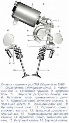 Заклинившие молекулярные моторы могут играть роль в развитии БАС