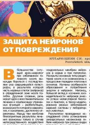 Молекула Альцгеймера - это умный &laquo;лежачий полицейский&raquo; на транспортном пути нервных клеток