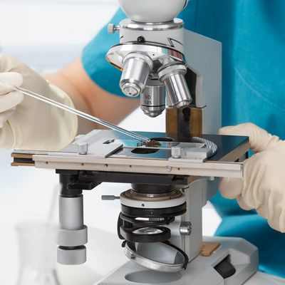 Новая модель БАС, основанная на стволовых клетках человека, открывает двери для быстрого скрининга лекарств